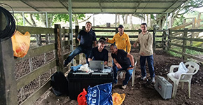 Field work